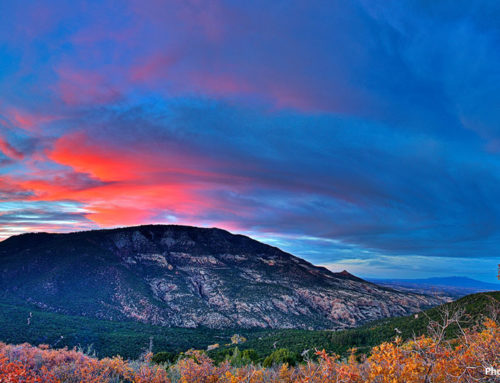 Voices: Bears Ears isn’t a partisan issue. Leaders must respect tribal knowledge.