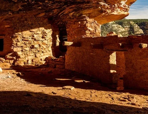 Bears Ears Inter-Tribal Coalition Recognized with Honors from Harvard’s Honoring Nations Awards