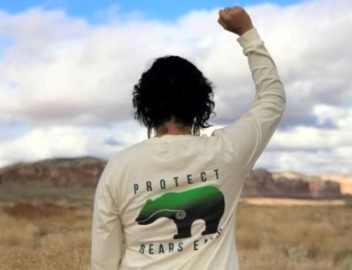 Job Opening: Tribal Stewardship & Engagement Coordinator