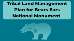 Land Management Plan for Bears Ears National Monument
