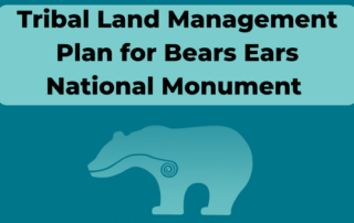 Land Management Plan for Bears Ears National Monument