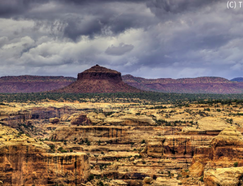 Bears Ears Inter-Tribal Coalition: A Collaborative Land Management Plan for the Bears Ears National Monument