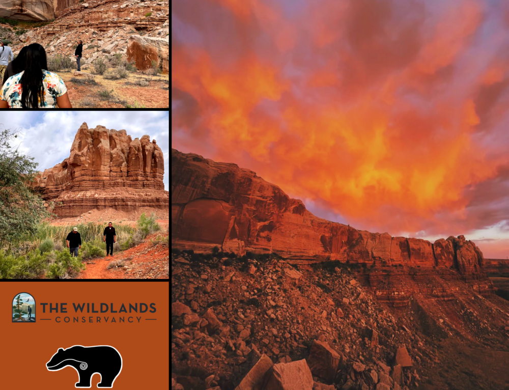 Traditional Knowledge and Bears Ears Bears Ears InterTribal Coalition