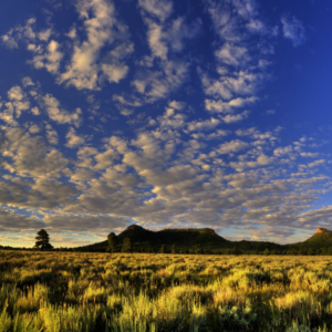 Bears Ears Buttes-Sunrise-Pano-Peterson Bears Ears Buttes (c)Tim Peterson
