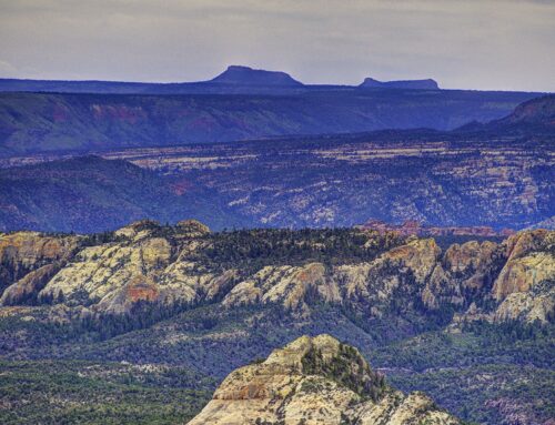 Bears Ears National Monument Enters Final Stage of NEPA Review