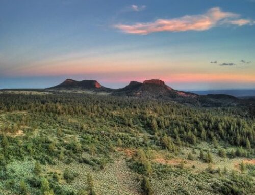 Setting a National Standard for Collaborative Management, Bears Ears Resource Management Plan Finalized
