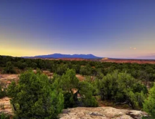 We Have Tried Every Path to Protect Bears Ears — And We Are Still Here