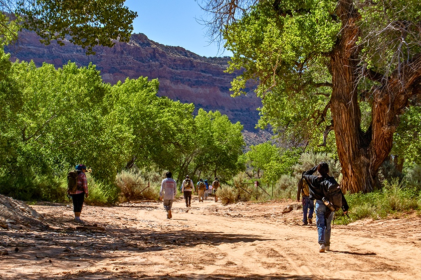 BECC Bears Ears Conservation Corps