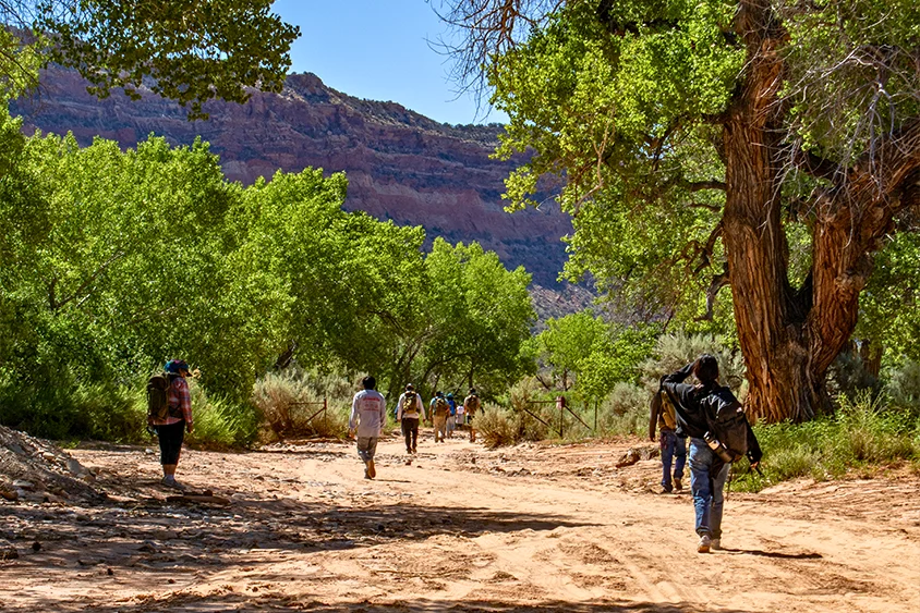 Bears Ears Conservation Corps