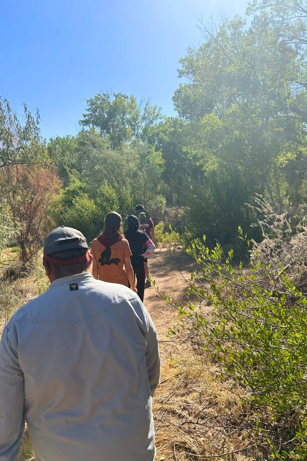 BEYC-hike Bears Ears Youth Council participants walk along a wooded trail during a field visit.